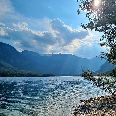 아파트 Sweet With Terrace In Triglav National Park 보히니