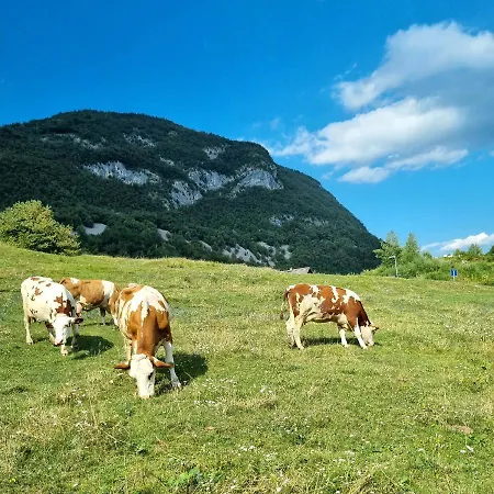 Sweet With Terrace In Triglav National Park דירה בוהין