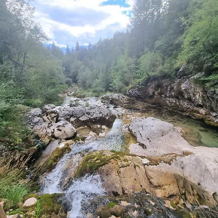 Sweet With Terrace In Triglav National Park בוהין
